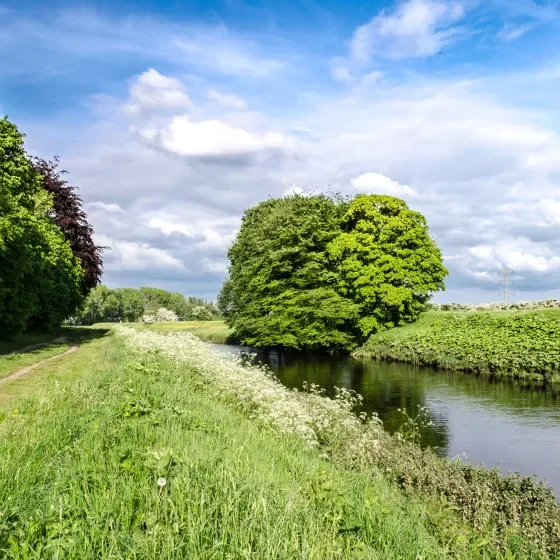 A quiet path through green countryside